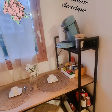 Apartment Golden Stade P Mauroy Lille *