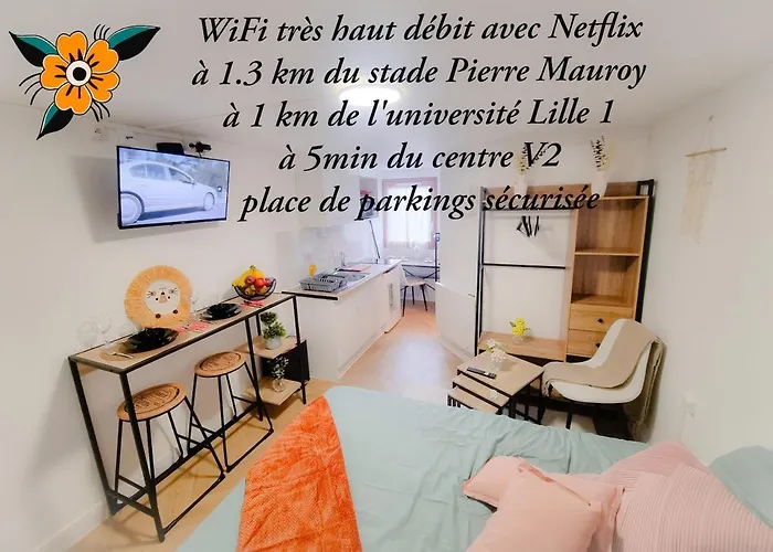 Golden Stade P Mauroy Lille Villeneuve-d'Ascq