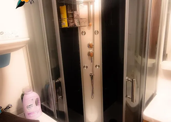 Golden Stade P Mauroy Lille *